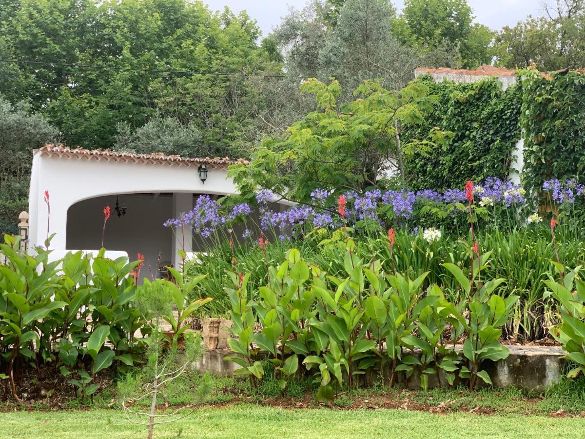 Апартаменты Quinta Dos Girassois Fz Феррейра-ду-Зезери Экстерьер фото
