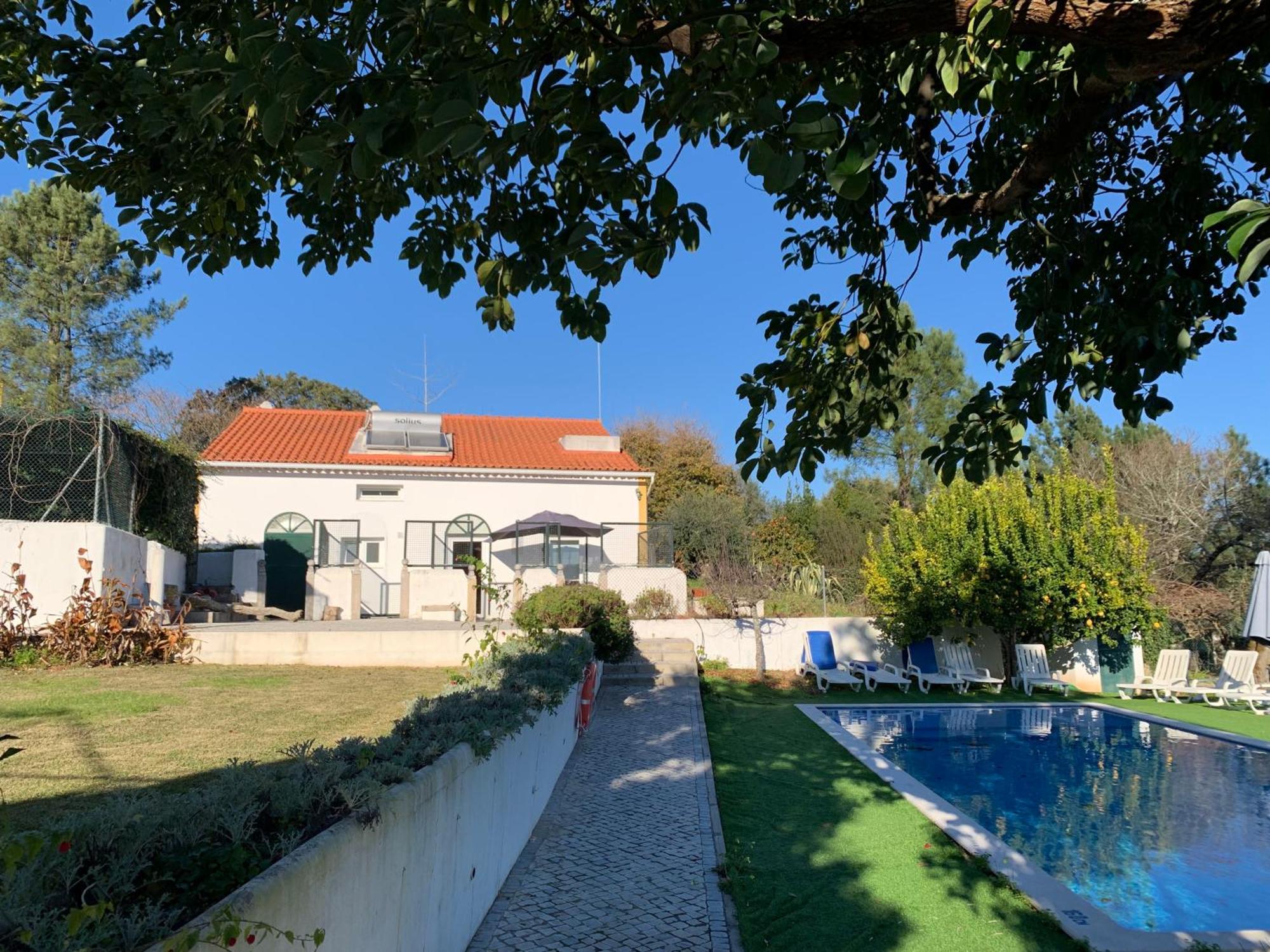 Апартаменты Quinta Dos Girassois Fz Феррейра-ду-Зезери Номер фото